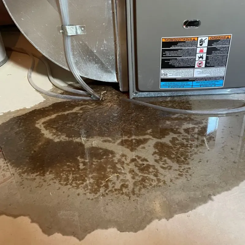 Pipe Burst and Leak Restoration in Madison, SD